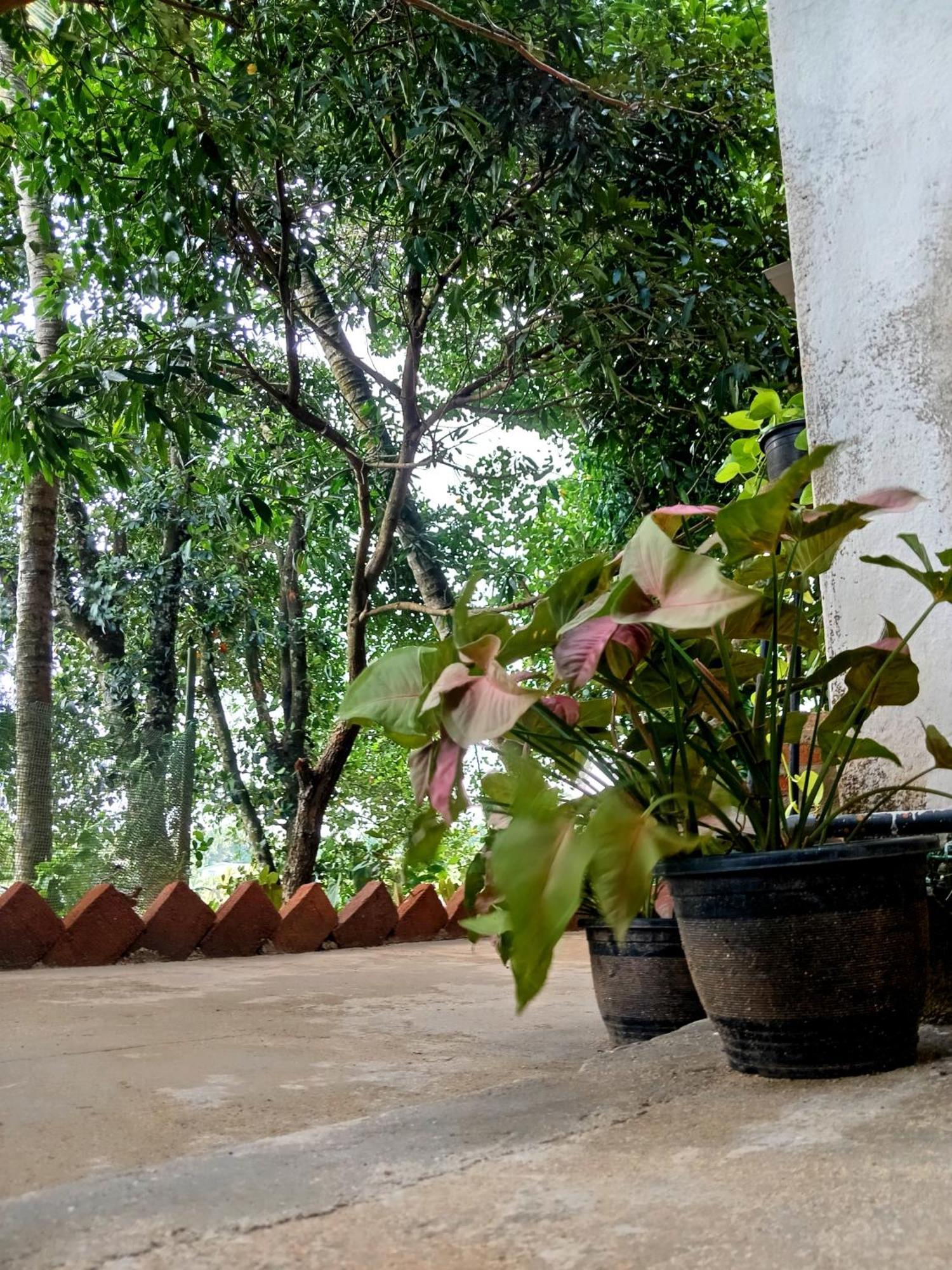 Fly Infinity - Home Stay Kandy Exterior foto