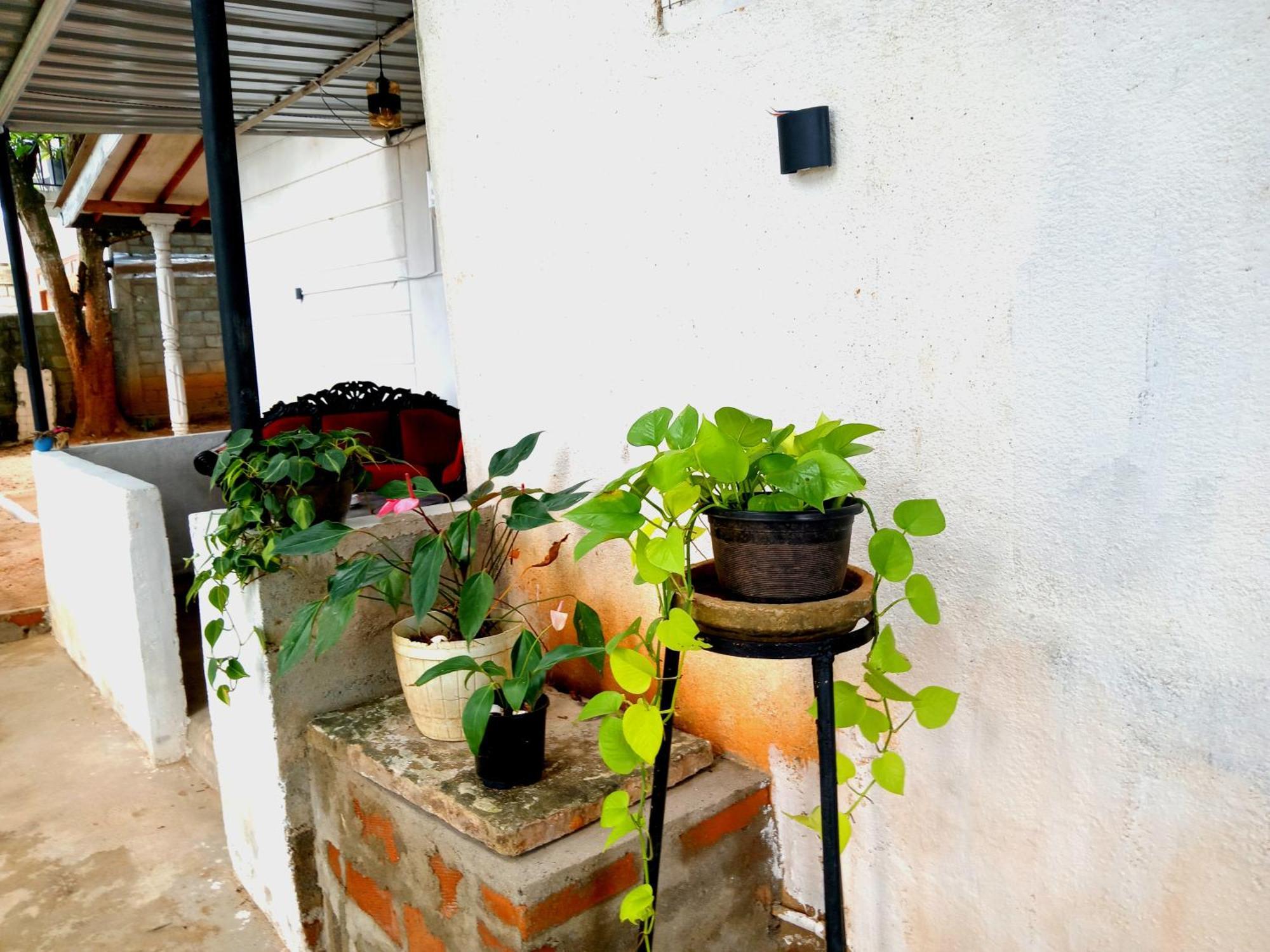 Fly Infinity - Home Stay Kandy Exterior foto
