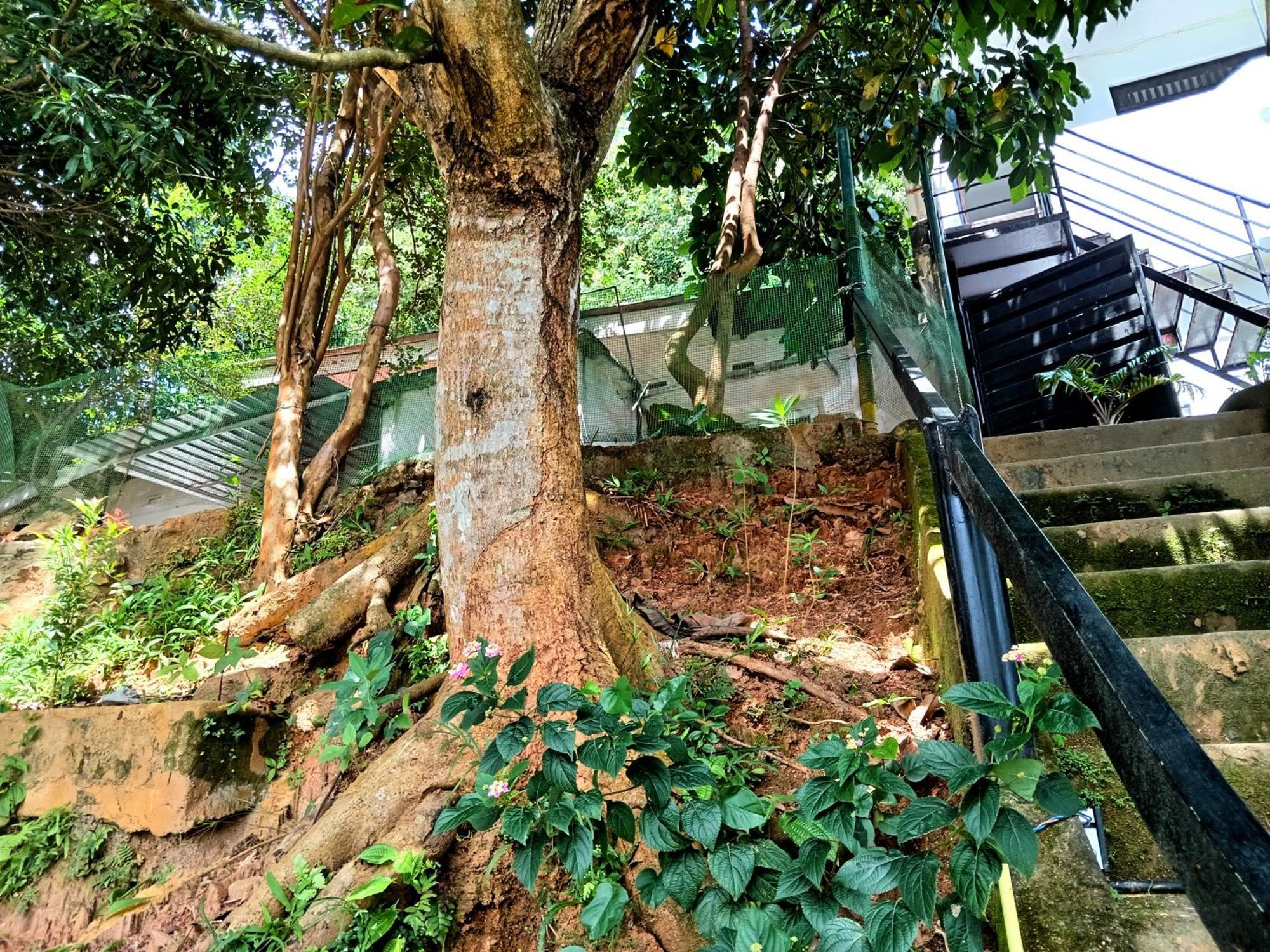 Fly Infinity - Home Stay Kandy Exterior foto