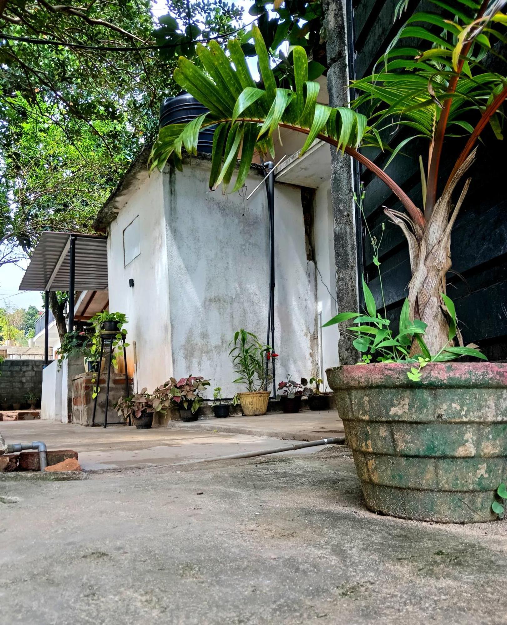 Fly Infinity - Home Stay Kandy Exterior foto