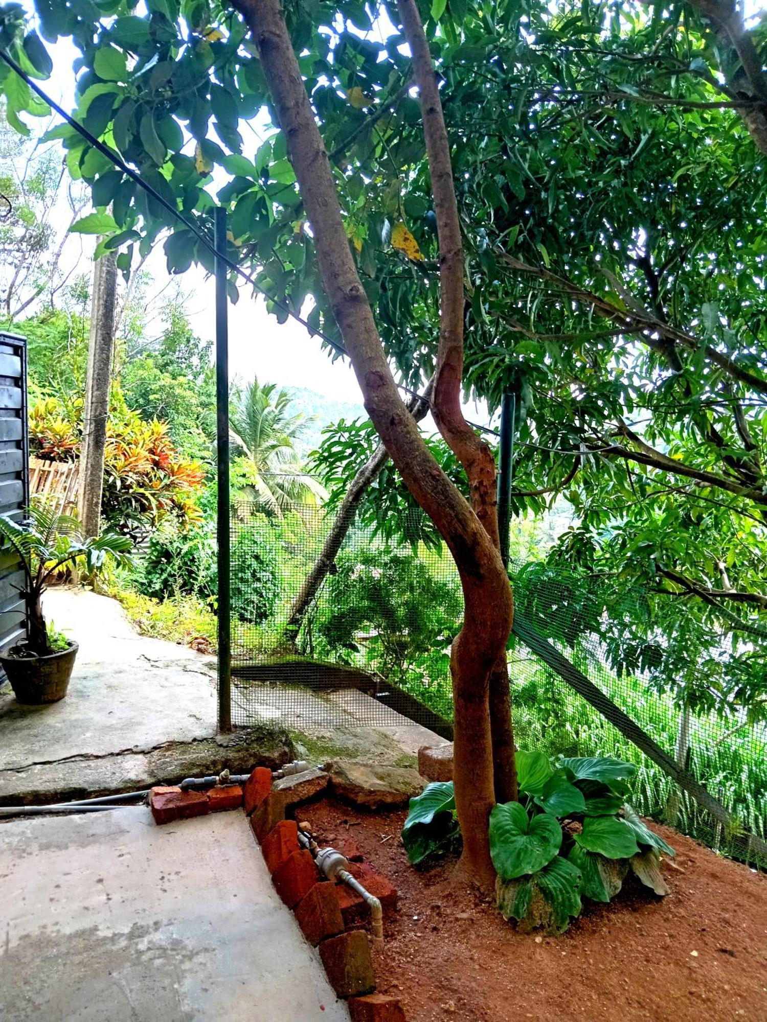 Fly Infinity - Home Stay Kandy Exterior foto