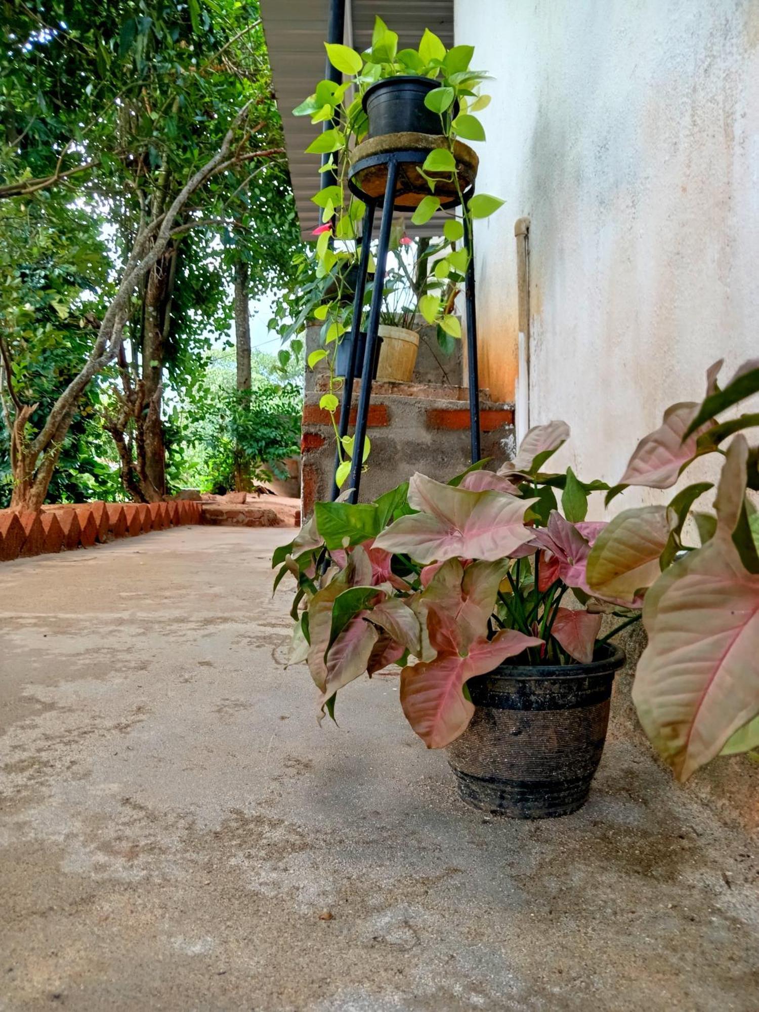 Fly Infinity - Home Stay Kandy Exterior foto