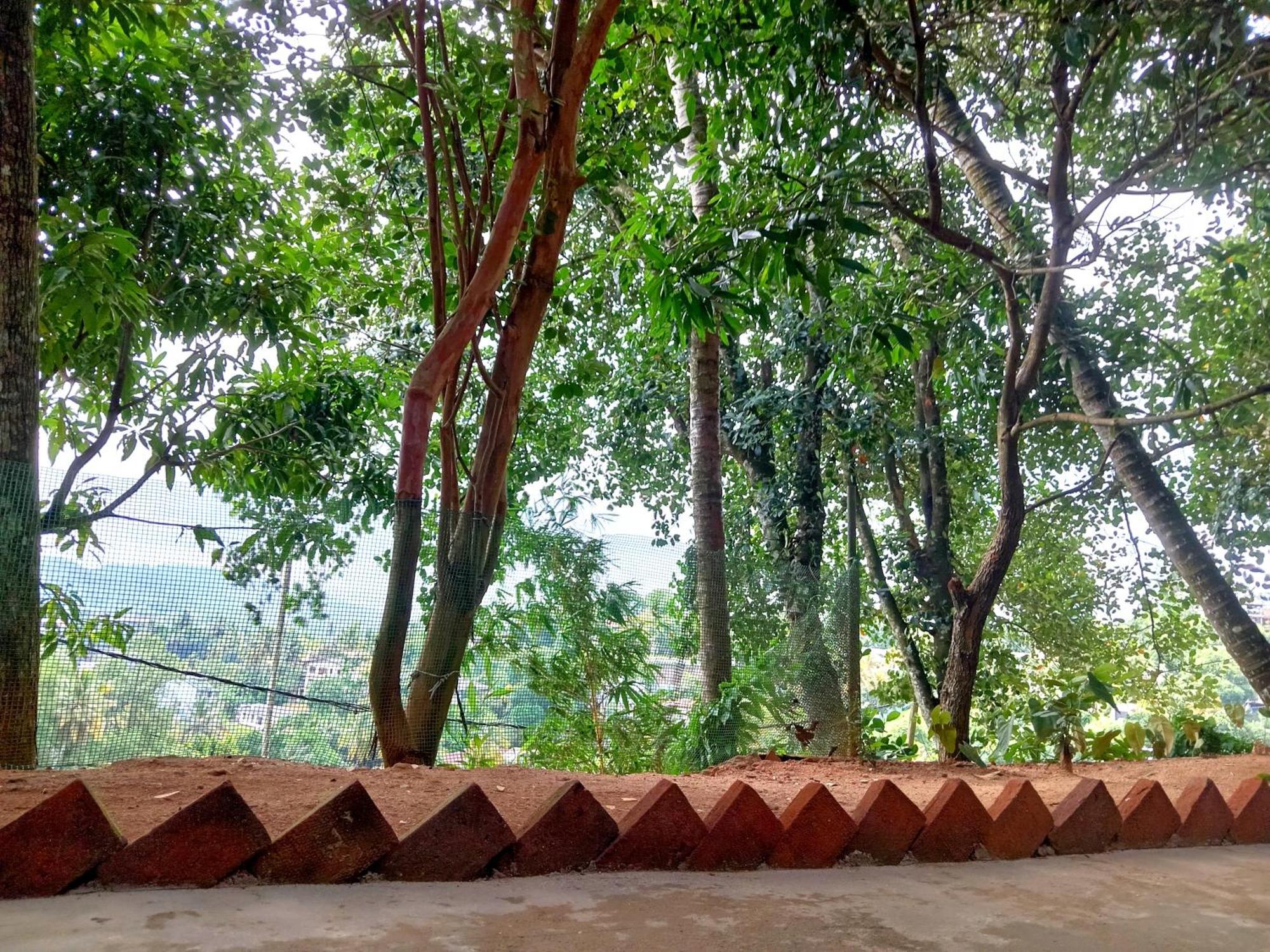Fly Infinity - Home Stay Kandy Exterior foto